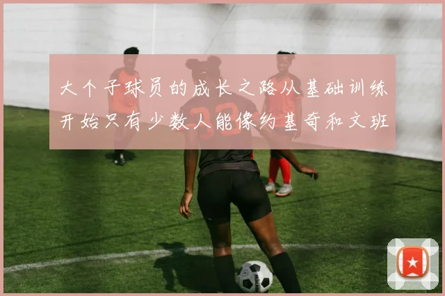 大个子球员的成长之路从基础训练开始只有少数人能像约基奇和文班那样成功